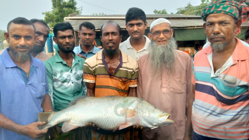 খোলপেটুয়া নদীতে ফের মিললো নয় কেজির কোরাল মাছ