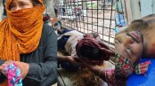 খাল দখল নিয়ে বিএনপি-আওয়ামী লীগ-জামায়াত সংঘর্ষে আহত ৭