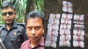 যশোরে দুই হাজার পিস ট্যাপেন্টাডলসহ একজন আটকের দাবি