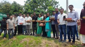 যশোরের ঐতিহ্য ফেরাতে ২০ লাখ খেজুর বীজ বপন করছে ‘উদ্যাম’