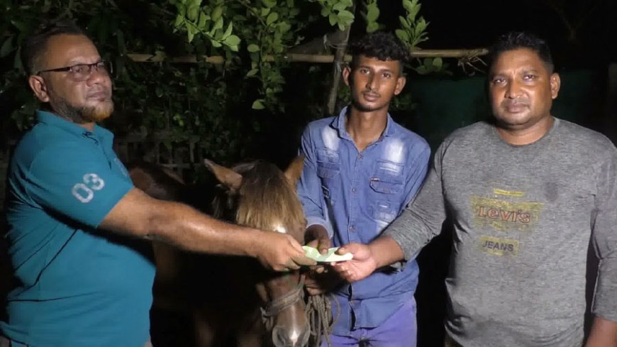 অন্ধ ঘোড়া দেখভাল করা কলেজছাত্র সোহানের পাশে প্রধানমন্ত্রী