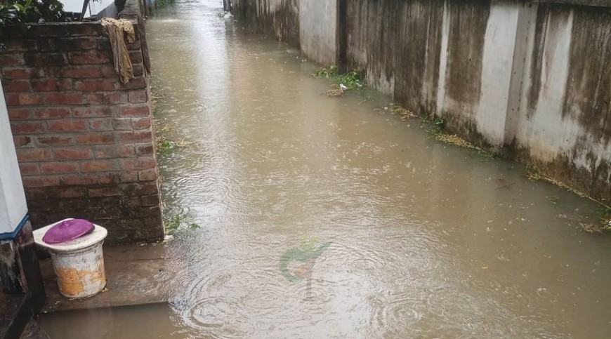 অতিবৃষ্টিতে চুয়াডাঙ্গার নিচু এলাকা প্লাবিত