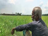 মাছের ঘেরে বরবাদ ফসল