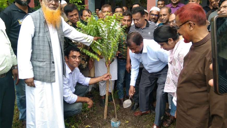 লোহাগড়ায় শিক্ষার্থীদের গাছের চারা বিতরণ, ফলদ বাগান উদ্বোধন