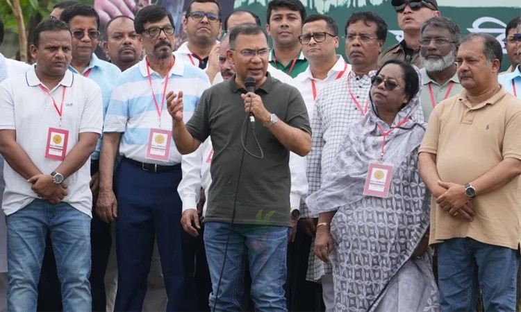 মিলেমিশে দেশের কাজ করার আহ্বান প্রধানমন্ত্রীর
