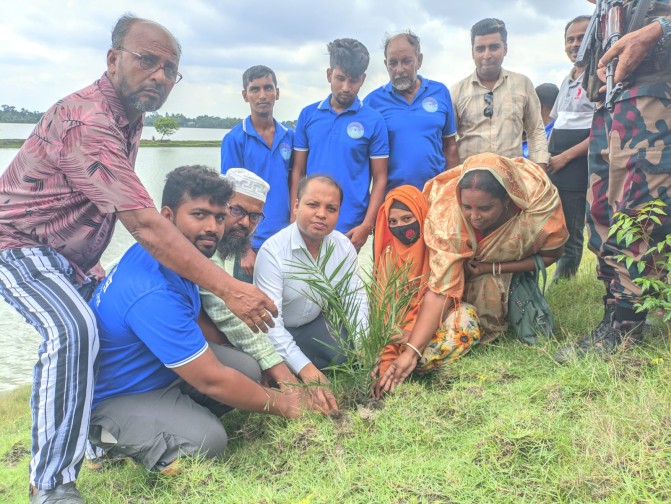 দেবহাটায় ২০ হাজার খেজুরবীজ ও তালগাছ রোপণ