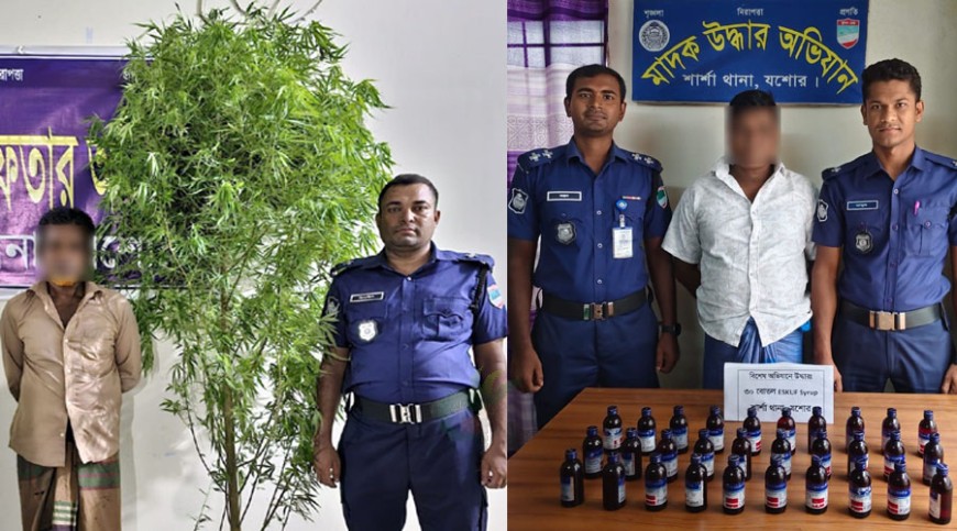 গাঁজার গাছ ও ভারতীয় সিরাপসহ দুইজন আটক