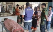 গাংনী