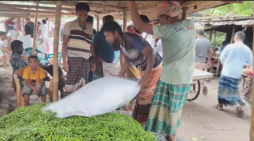 টানা বৃষ্টিতে ছড়িয়ে পড়েছে কাঁচা মরিচের ‘ঝাঁজ’