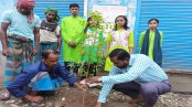 মাগুরায় 'পরিবর্তনে আমরাই' এর বৃক্ষরোপণ কর্মসূচি