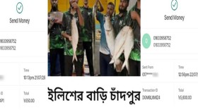 কলারোয়া
