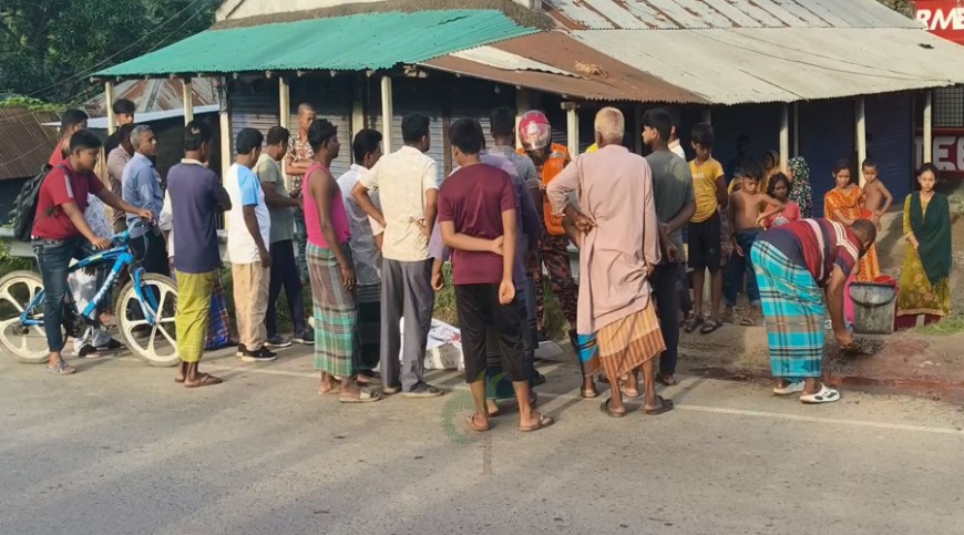 শৈলকূপায় ট্রাকচাপায় পথচারীর মৃত্যু