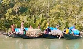 সুন্দরবনে বাড়ছে চোরা শিকারিদের দৌরাত্ম্য