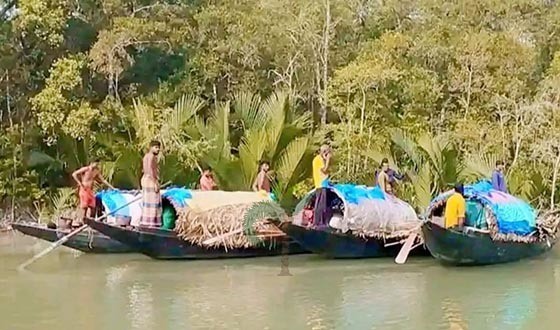 সুন্দরবনে বাড়ছে চোরা শিকারিদের দৌরাত্ম্য