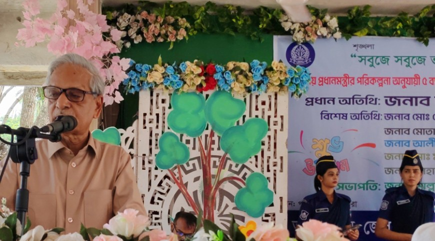 বেশি করে গাছ লাগানোর আহ্বান সংস্কৃতিমন্ত্রীর