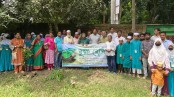 প্রয়াত ২৭ কবি স্মরণে বিএসপির বৃক্ষরোপণ