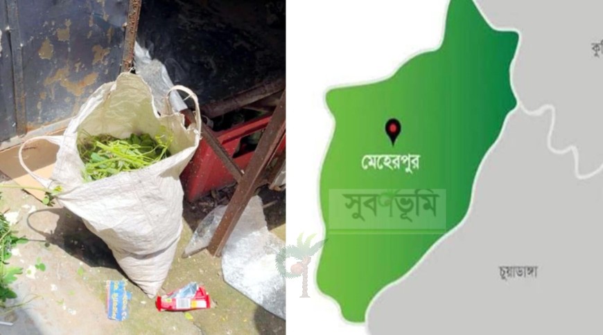 গাংনীতে এনসিপির সভাস্থলের পাশ থেকে বোমাসদৃশ বস্তু উদ্ধার