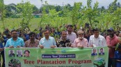স্কুলে রোটারি ক্লাবের বৃক্ষরোপণ