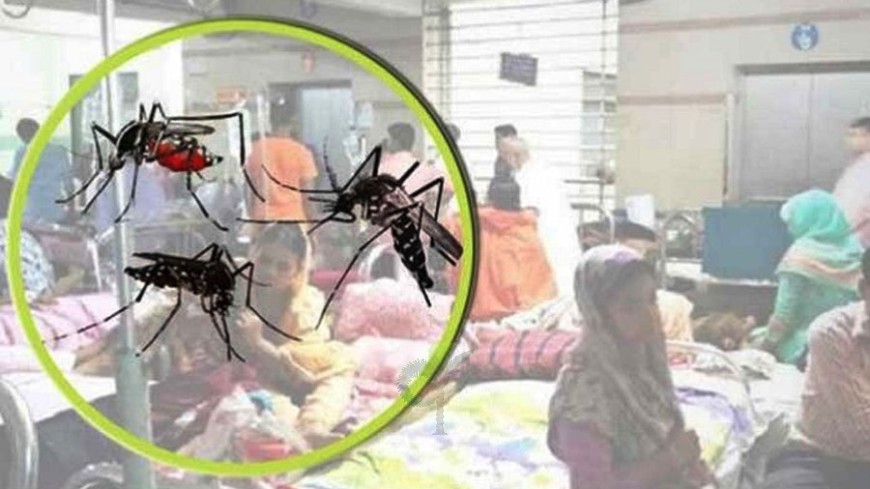দক্ষিণ-পশ্চিমে বাগেরহাটে সর্বাধিক ৫২ ডেঙ্গু রোগী ভর্তি