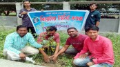 মাগুরায় থিয়েটার ইউনিটের উদ্যোগে বৃক্ষরোপণ কর্মসূচি