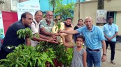 ঝিনাইদহে শিক্ষার্থীদের মাঝে গাছের চারা বিতরণ