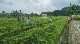 প্রযুক্তি