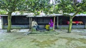 মহেশপুরে অর্ধশত বছরের বসতভিটা দখলের পাঁয়তারা