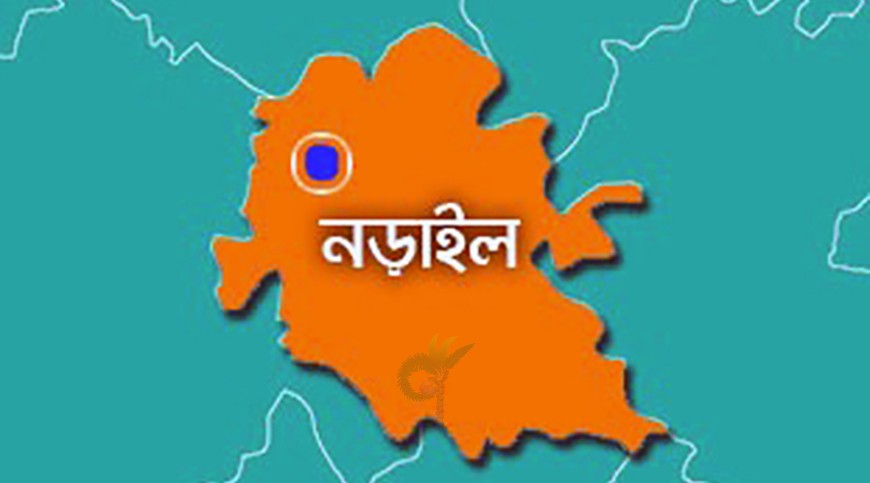 লোহাগড়ায় আঁশফল গাছ থেকে পড়ে বৃদ্ধের মৃত্যু