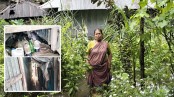 পানিবন্দী ভাঙা ঘরে একাকী বসবাস সাবেক ইউপি সদস্যের
