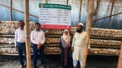 বিশ হাজারে শুরু এখন আয় ৫০ হাজার টাকা