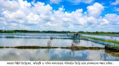 অতিবৃষ্টিতে কমছে লবণাক্ততা, শঙ্কায় কয়রার চিংড়িচাষিরা