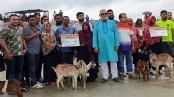সুন্দরবনে ৩১ বাঘ বিধবার মাঝে ছাগল বিতরণ