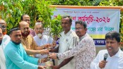 ঝিনাইদহ উন্নয়ন সংগ্রাম সমন্বয় কমিটির বৃক্ষরোপণ