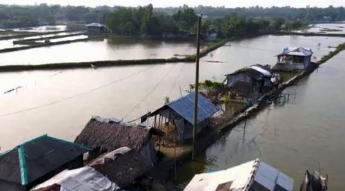 লবণাক্ততায় বদলে যাচ্ছে উপকূলীয় জীবন