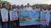 কচুয়ায় বৃক্ষরোপণ ও চারা বিতরণ কর্মসূচি