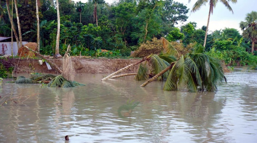 লোহাগড়ায় নদী ভাঙনকবলিত এলাকা পরিদর্শনে এমপি