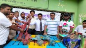মহেশপুর