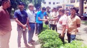 স্বেচ্ছাসেবক দলের প্রতিষ্ঠাবার্ষিকীতে পরিচ্ছন্নতা ও বৃক্ষরোপণ