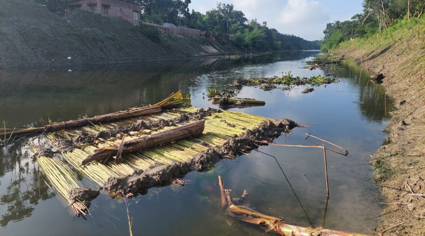 পাটের বাম্পার ফলন: বাড়তি খরচে লোকসানের শঙ্কা