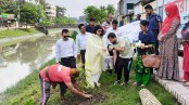 সাতক্ষীরায় প্রাণ সায়ের খালের পাড়ে বৃক্ষরোপণ অভিযান