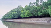 নিষেধাজ্ঞাকালেও সুন্দরবনে অনুপ্রবেশ, আটক ৪৪