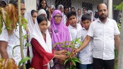 মহেশপুরে স্কুলে বৃক্ষরোপণ ও আলোচনা সভা