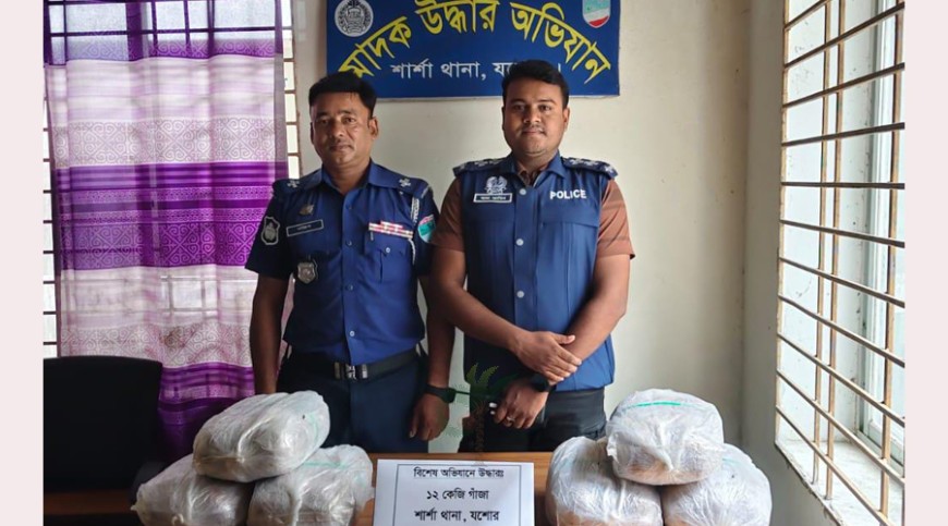 শার্শায় ১২ কেজি গাঁজা উদ্ধার