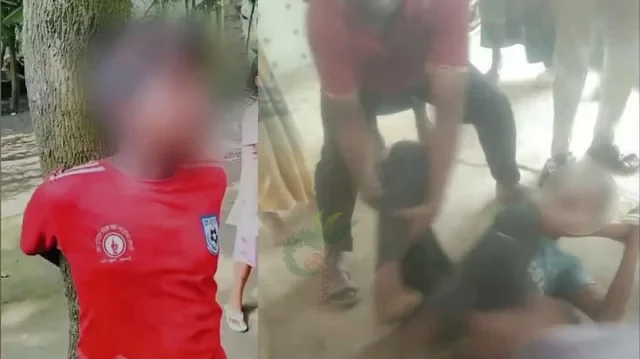 চুরির অভিযোগে দুই কিশোরকে গাছে ও খুঁটিতে বেঁধে অমানবিক নির্যাতন