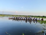 কুষ্টিয়ার বিলে নৌকাবাইচ প্রতিযোগিতায় মানুষের ঢল