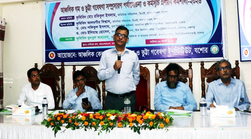 যশোরে গম-ভুট্টা গবেষণা ও সম্প্রসারণে কর্মশালা