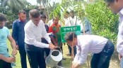 স্বচ্ছতা জবাবদিহিতার সঙ্গে কাজের নির্দেশনা বিভাগীয় কমিশনারের