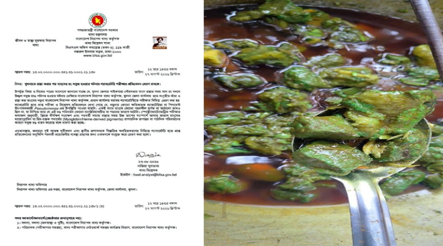 পাইকগাছায় ‘সবুজ মাংস’ রহস্যের অবসান, মিললো বৈজ্ঞানিক ব্যাখ্যা!