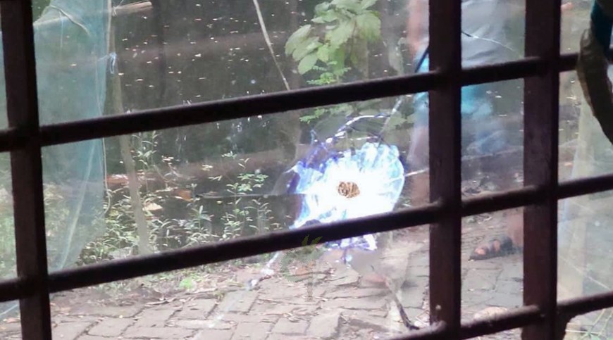 খুলনায় যুবদল নেতার বাড়িতে গুলিবর্ষণ