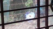 খুলনায় যুবদল নেতার বাড়িতে গুলিবর্ষণ